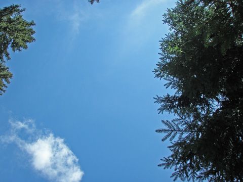 Foto 43
